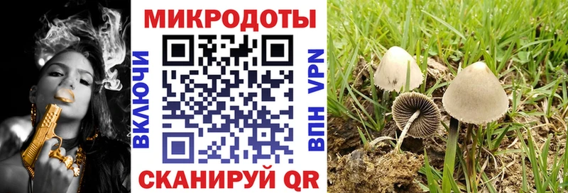 Псилоцибиновые грибы Psilocybine cubensis  даркнет сайт  Яровое 